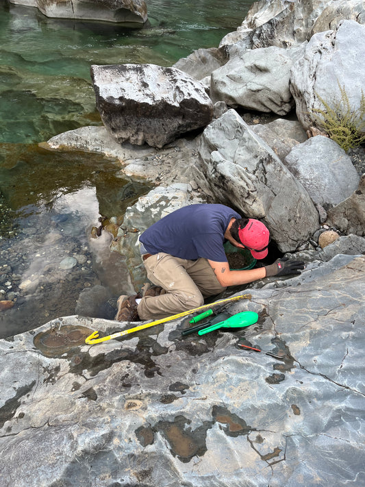 Guided Gold Prospecting Trip - 1 Person (Advanced)